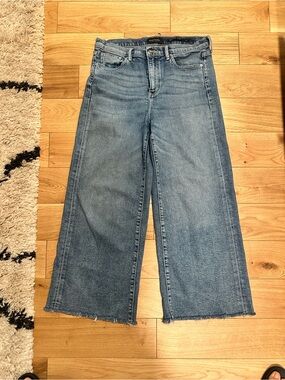Banana Republic Light Blue Wide-Leg Frayed Hem Jeans